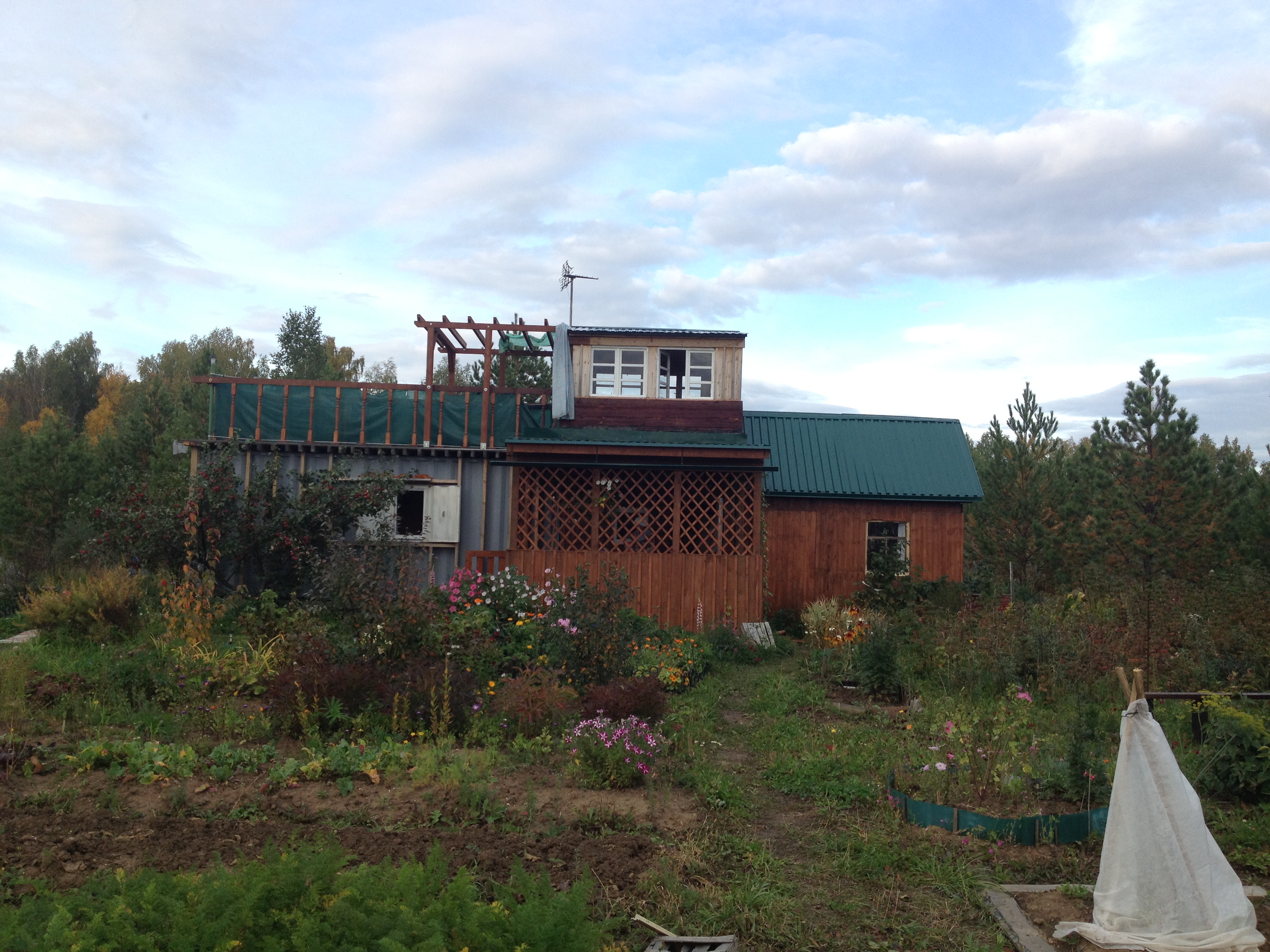 House from the container in the garden